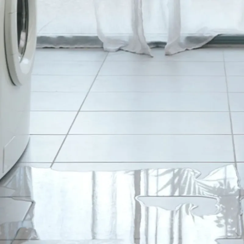 Appliance Leak Cleanup in East Chicago, IN