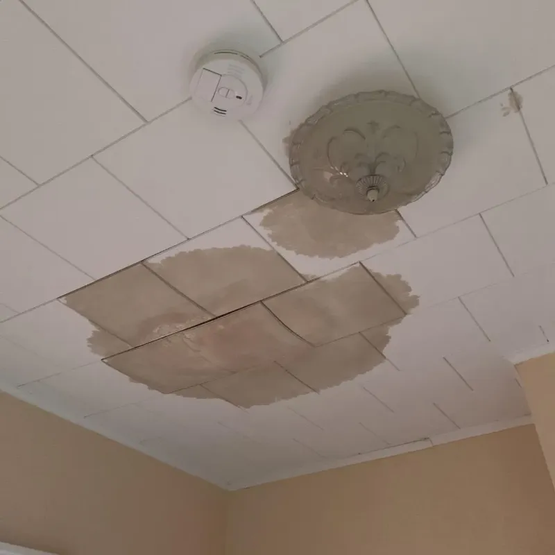 Ceiling Water Damage Repair in East Chicago, IN