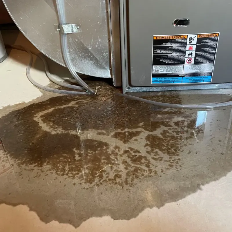 Pipe Burst and Leak Restoration in East Chicago, IN